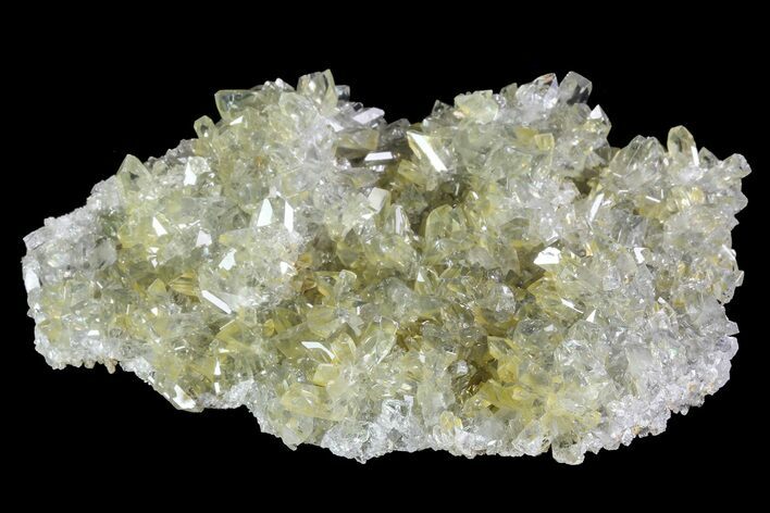 Plate Of Gemmy, Chisel Tipped Barite Crystals - Mexico #84419